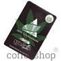 Auto Tutankhamon Feminised Pyramid Seeds